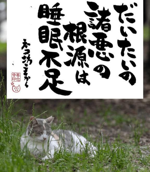 暑いっす｜写メ日記｜岩崎｜鶯谷 人妻デリヘル 熟女デリヘル倶楽部