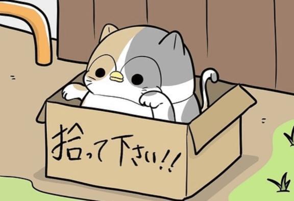 静かだわ｜写メ日記｜岩崎｜鶯谷 人妻デリヘル 熟女デリヘル倶楽部