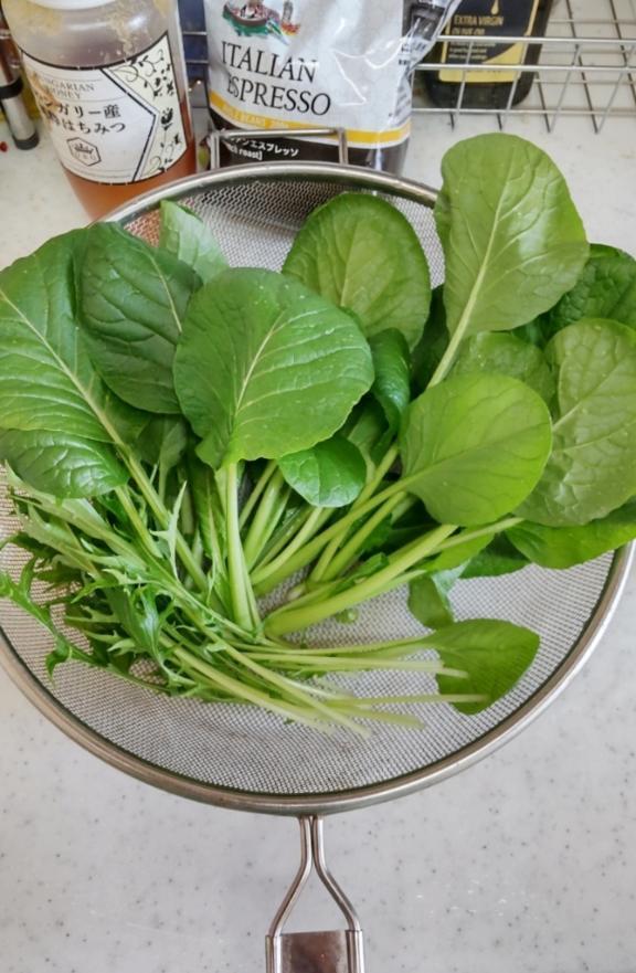 晩御飯用の小松菜間引いた