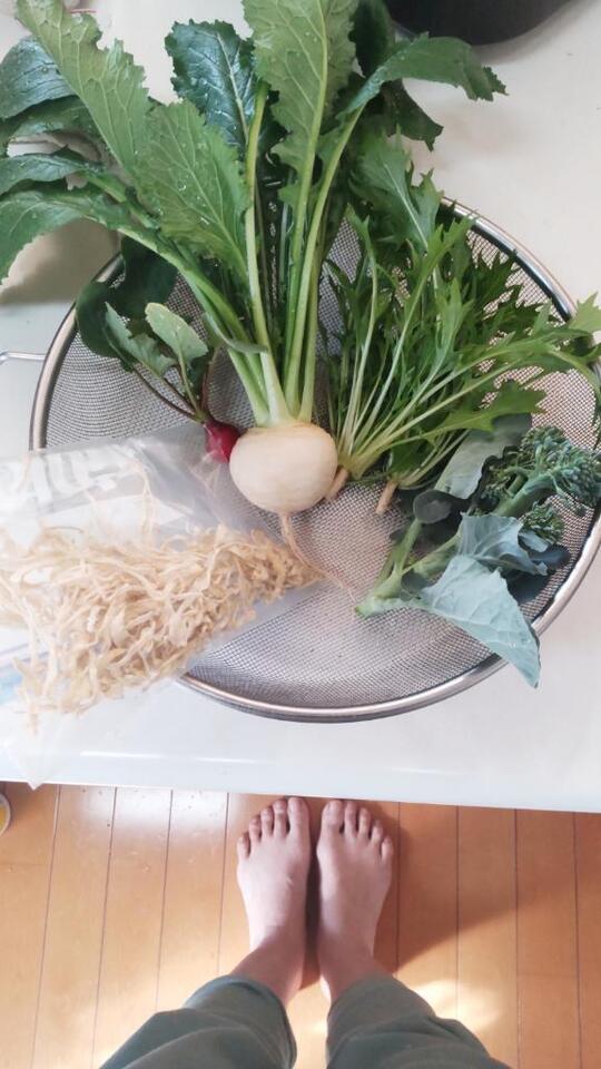 収穫&自家製切り干し大根できた｜写メ日記｜ひまわり｜鶯谷 人妻デリヘル 熟女デリヘル倶楽部