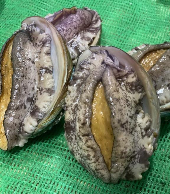 こんばんは｜写メ日記｜あさみ｜鶯谷 人妻デリヘル 熟女デリヘル倶楽部