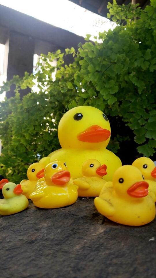 ゆっくりね、｜写メ日記｜あさみ｜鶯谷 人妻デリヘル 熟女デリヘル倶楽部