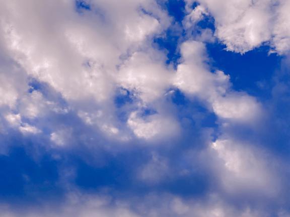 おはようございます｜写メ日記｜えりな｜鶯谷 人妻デリヘル 熟女デリヘル倶楽部