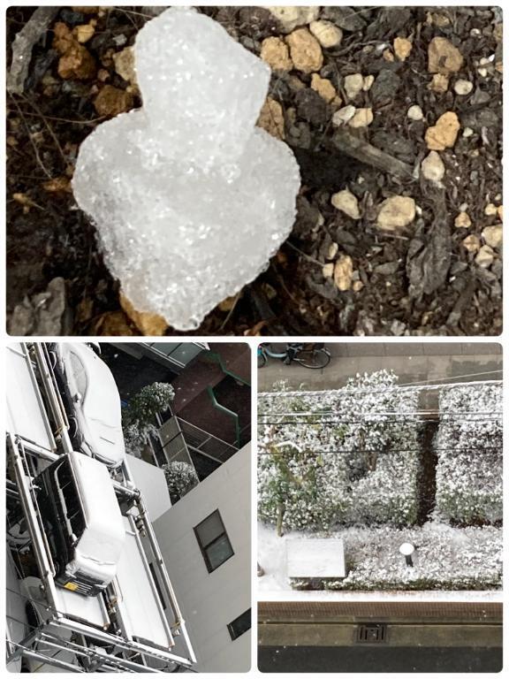 お子ちゃま｜写メ日記｜えりな｜鶯谷 人妻デリヘル 熟女デリヘル倶楽部