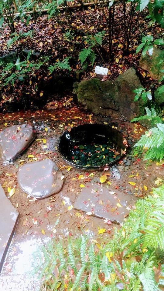 おはようございます｜写メ日記｜東山けいこ｜鶯谷 人妻デリヘル 熟女デリヘル倶楽部