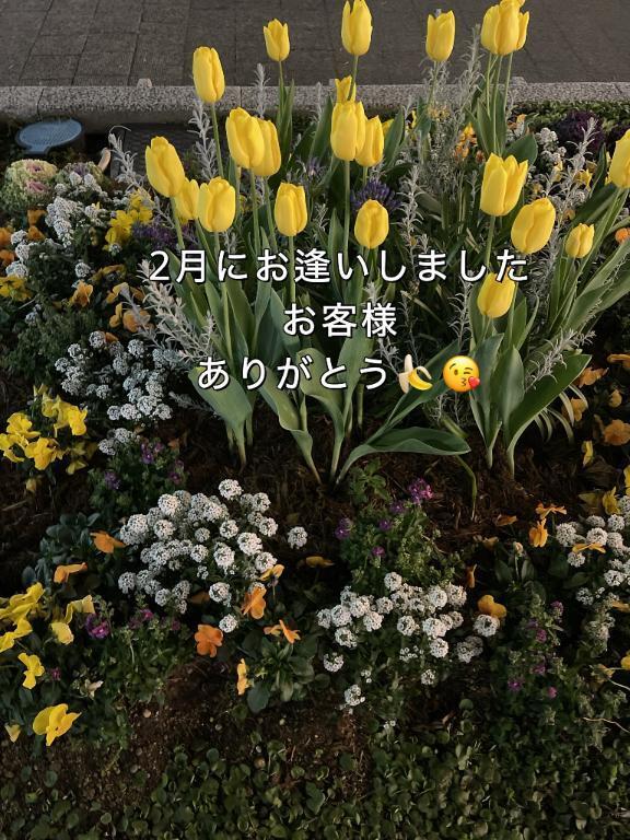 2月最終日の御礼｜写メ日記｜まゆ｜鶯谷 人妻デリヘル 熟女デリヘル倶楽部