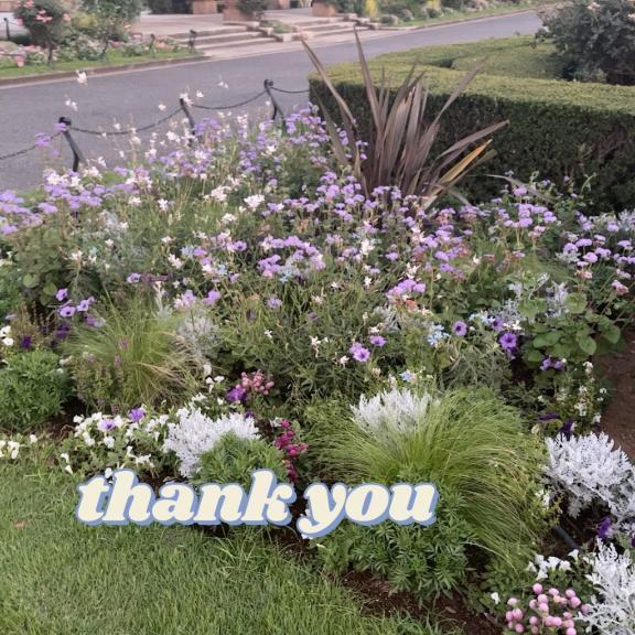 11日の御礼｜写メ日記｜まゆ｜鶯谷 人妻デリヘル 熟女デリヘル倶楽部