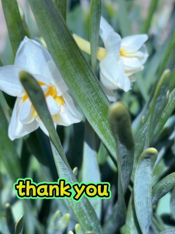 19日の御礼日記｜写メ日記｜まゆ｜鶯谷 人妻デリヘル 熟女デリヘル倶楽部