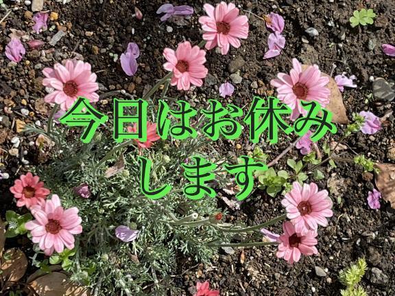 ごめんなさい｜写メ日記｜まゆ｜鶯谷 人妻デリヘル 熟女デリヘル倶楽部