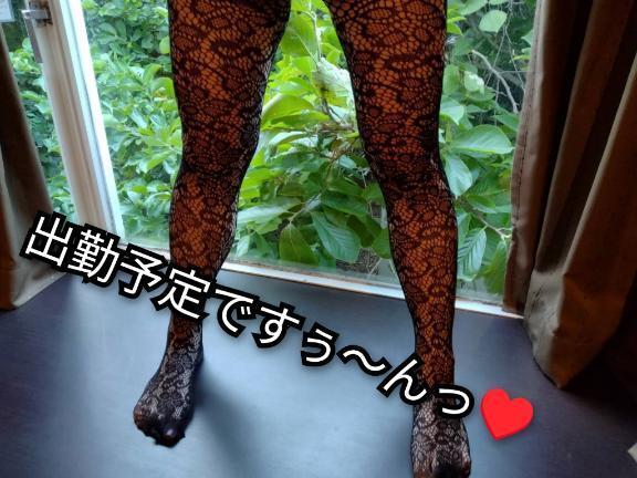 出勤予定ですぅ～んっm(_ _)m