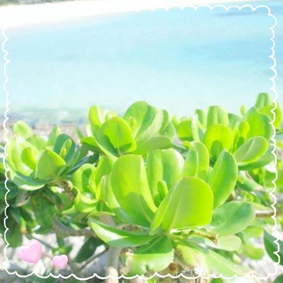 お気に入りの海と｜写メ日記｜伊藤｜鶯谷 人妻デリヘル 熟女デリヘル倶楽部