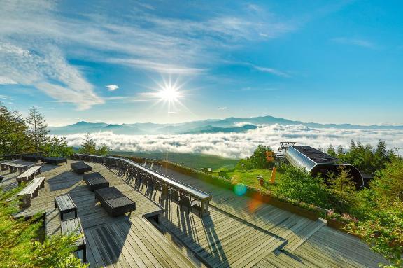 terrace｜写メ日記｜伊藤｜鶯谷 人妻デリヘル 熟女デリヘル倶楽部