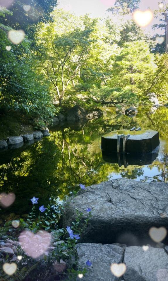 お庭｜写メ日記｜伊藤｜鶯谷 人妻デリヘル 熟女デリヘル倶楽部