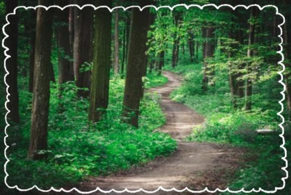 _(_ _*)_｜写メ日記｜伊藤｜鶯谷 人妻デリヘル 熟女デリヘル倶楽部