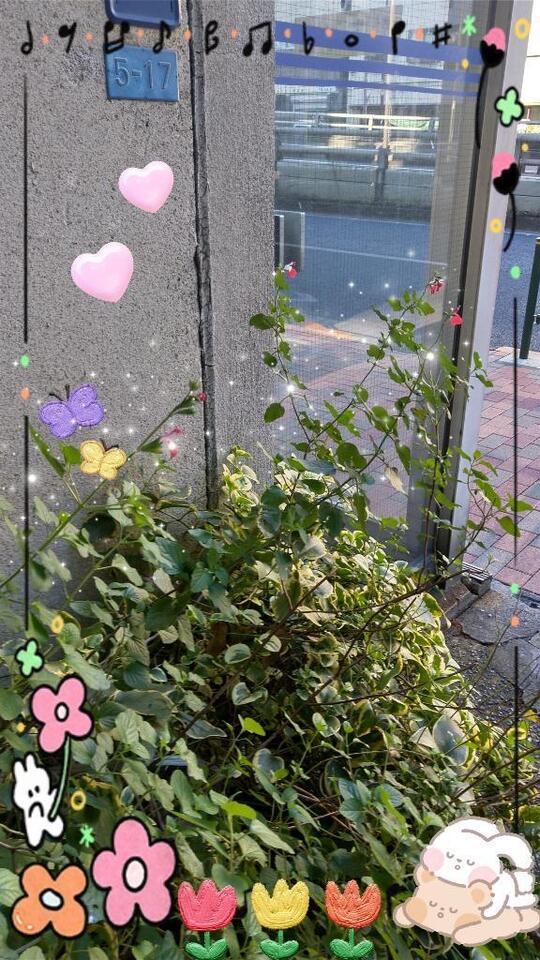 いとーの癒されすぽっと｜写メ日記｜伊藤｜鶯谷 人妻デリヘル 熟女デリヘル倶楽部