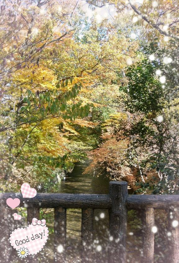 こんにちは(*^^*)/｜写メ日記｜伊藤｜鶯谷 人妻デリヘル 熟女デリヘル倶楽部