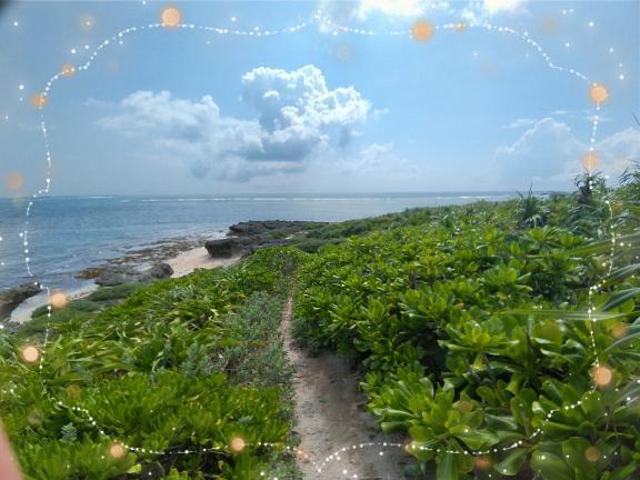 (o´･ω･`o)ﾉ｜写メ日記｜伊藤｜鶯谷 人妻デリヘル 熟女デリヘル倶楽部