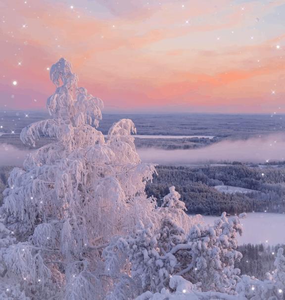 こんにちはヾ(*ゝω･*)ﾉ｜写メ日記｜伊藤｜鶯谷 人妻デリヘル 熟女デリヘル倶楽部