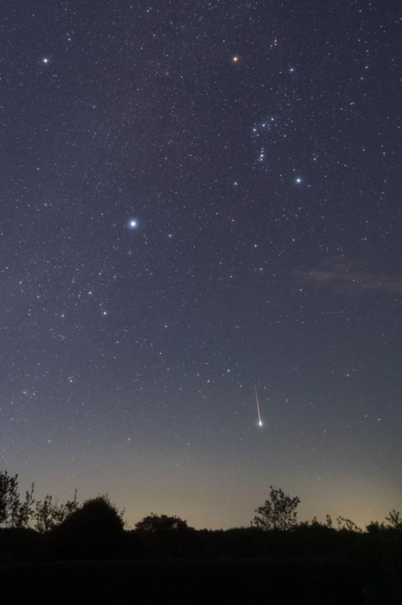 星がキレイ｜写メ日記｜伊藤｜鶯谷 人妻デリヘル 熟女デリヘル倶楽部