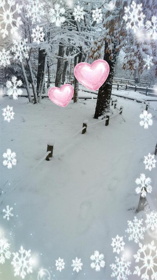 雪景色～｜写メ日記｜伊藤｜鶯谷 人妻デリヘル 熟女デリヘル倶楽部
