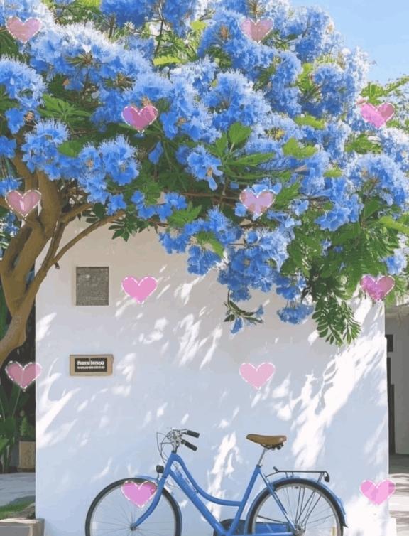 (*^^*)｜写メ日記｜伊藤｜鶯谷 人妻デリヘル 熟女デリヘル倶楽部