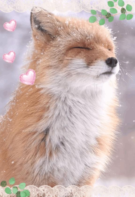 もふもふ｜写メ日記｜伊藤｜鶯谷 人妻デリヘル 熟女デリヘル倶楽部