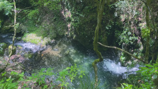 秋川｜写メ日記｜伊藤｜鶯谷 人妻デリヘル 熟女デリヘル倶楽部