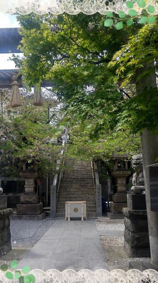 (*^-^)/｜写メ日記｜伊藤｜鶯谷 人妻デリヘル 熟女デリヘル倶楽部