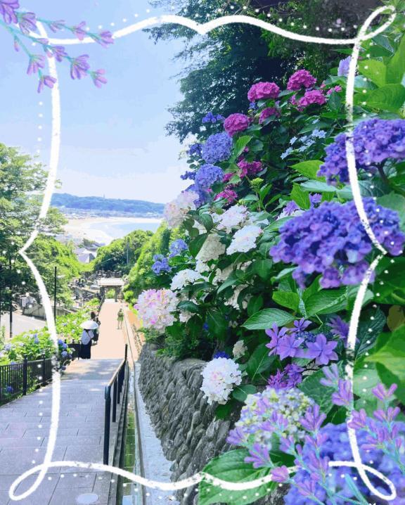 (*^.^*)｜写メ日記｜伊藤｜鶯谷 人妻デリヘル 熟女デリヘル倶楽部