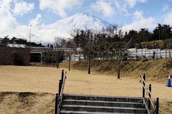23日のお礼です｜写メ日記｜とうこ｜鶯谷 人妻デリヘル 熟女デリヘル倶楽部