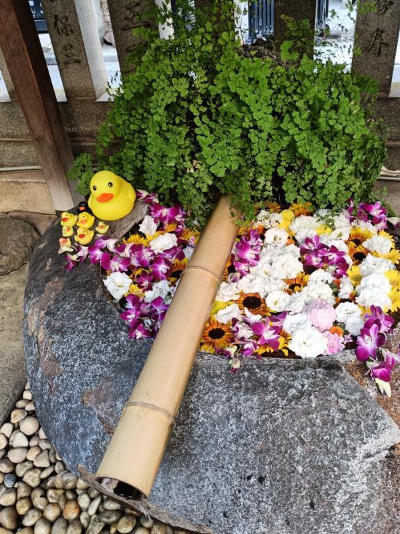 気温が体温と同じ｜写メ日記｜とうこ｜鶯谷 人妻デリヘル 熟女デリヘル倶楽部