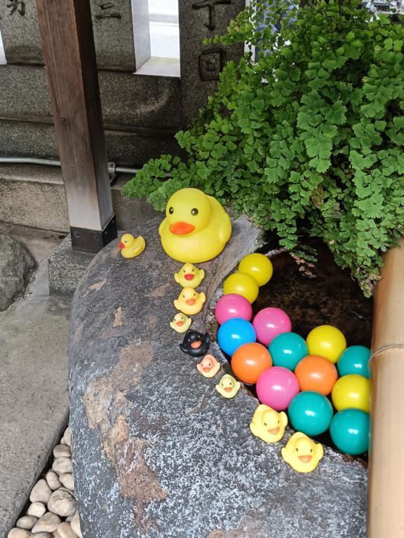 コロナしつこい｜写メ日記｜とうこ｜鶯谷 人妻デリヘル 熟女デリヘル倶楽部