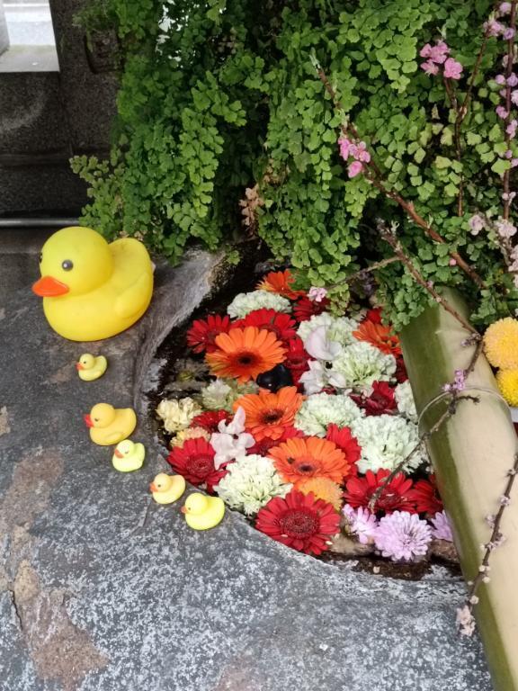 9月でも、暑すぎです｜写メ日記｜とうこ｜鶯谷 人妻デリヘル 熟女デリヘル倶楽部