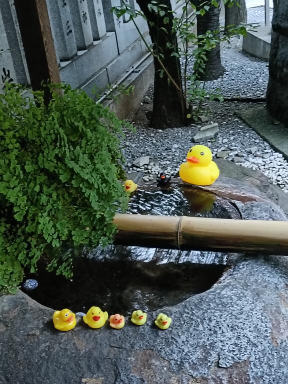 用事で、お休みしました｜写メ日記｜とうこ｜鶯谷 人妻デリヘル 熟女デリヘル倶楽部