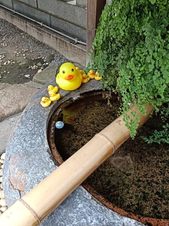 風邪で、体がだるいな｜写メ日記｜とうこ｜鶯谷 人妻デリヘル 熟女デリヘル倶楽部