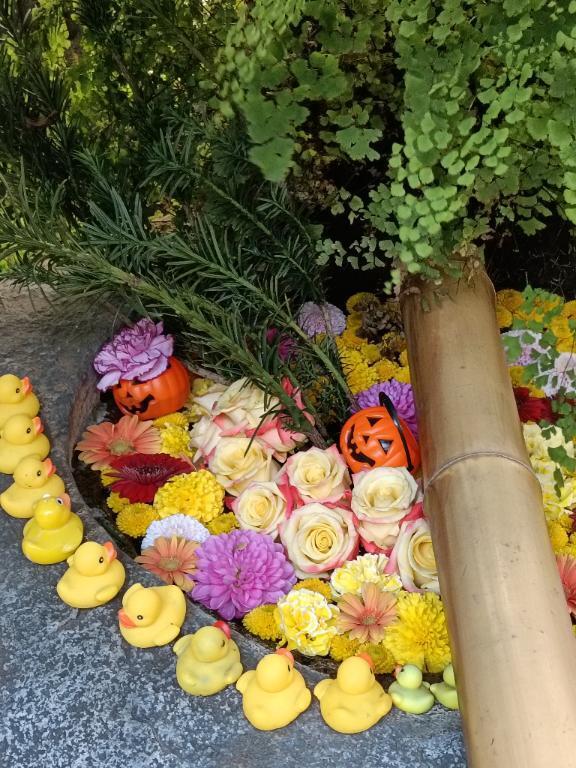 [お題]from:もう考えたくないさん｜写メ日記｜とうこ｜鶯谷 人妻デリヘル 熟女デリヘル倶楽部