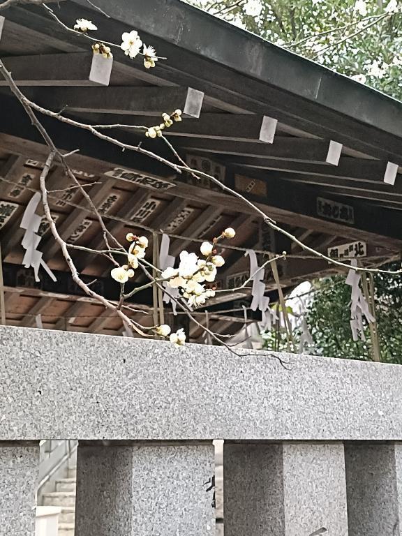 胃腸炎｜写メ日記｜とうこ｜鶯谷 人妻デリヘル 熟女デリヘル倶楽部