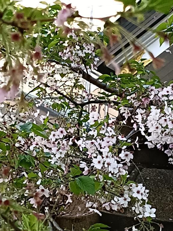 [お題]from:ひさ～さん