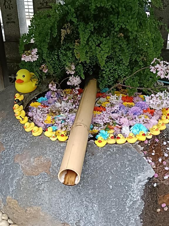 電車にて｜写メ日記｜とうこ｜鶯谷 人妻デリヘル 熟女デリヘル倶楽部