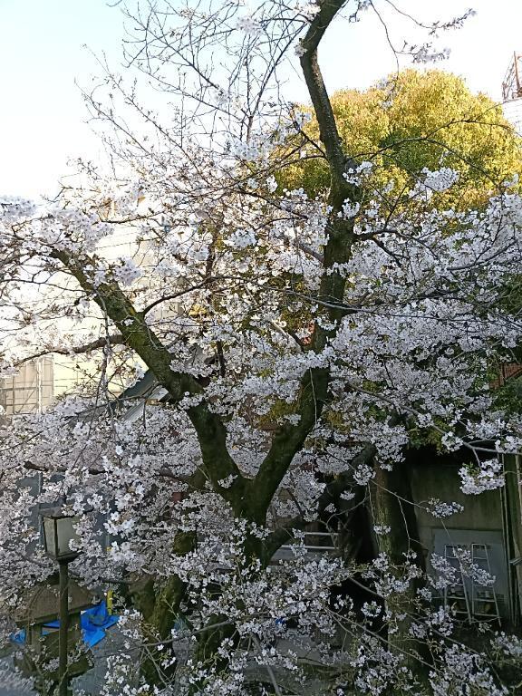 [お題]from:ピンキーさん｜写メ日記｜とうこ｜鶯谷 人妻デリヘル 熟女デリヘル倶楽部