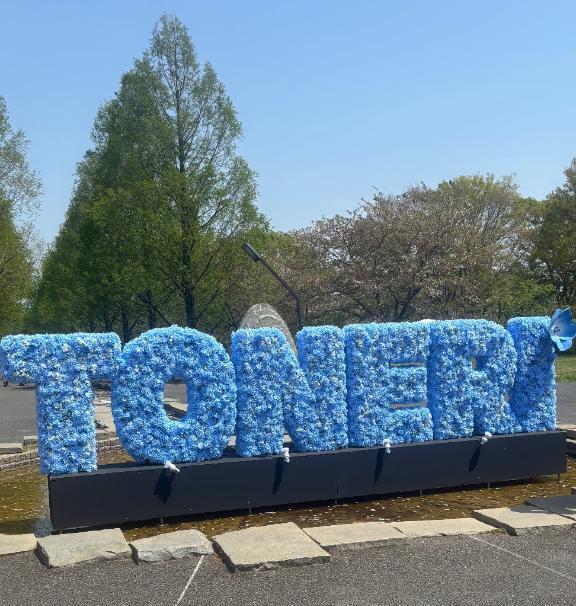 ネモフィラ〜()⃘*.ﾟ｜写メ日記｜浅宮ゆり｜鶯谷 人妻デリヘル 熟女デリヘル倶楽部