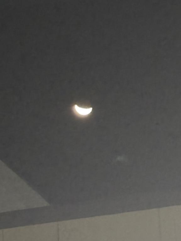 御礼(᎑)｜写メ日記｜浅宮ゆり｜鶯谷 人妻デリヘル 熟女デリヘル倶楽部