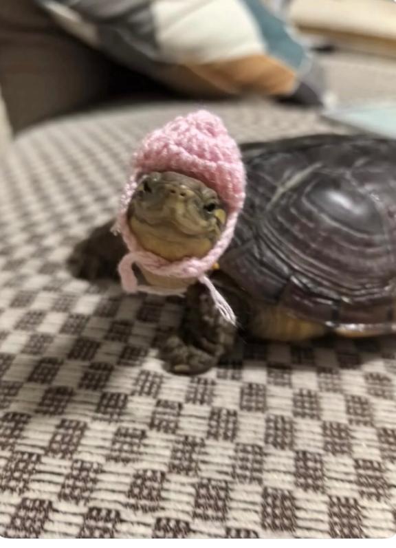 御礼(᎑)｜写メ日記｜浅宮ゆり｜鶯谷 人妻デリヘル 熟女デリヘル倶楽部