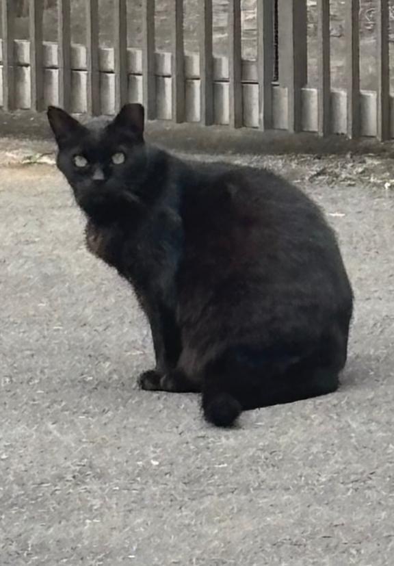 御礼(///з///)｜写メ日記｜浅宮ゆり｜鶯谷 人妻デリヘル 熟女デリヘル倶楽部