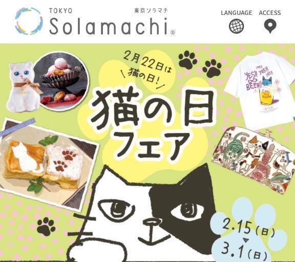 猫の日(*ΦωΦ*)｜写メ日記｜浅宮ゆり｜鶯谷 人妻デリヘル 熟女デリヘル倶楽部