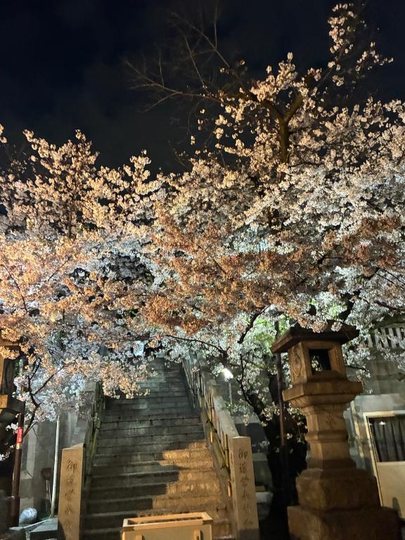 御礼｜写メ日記｜浅宮ゆり｜鶯谷 人妻デリヘル 熟女デリヘル倶楽部