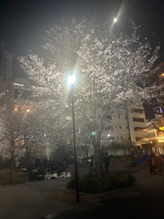 御礼^ ^｜写メ日記｜浅宮ゆり｜鶯谷 人妻デリヘル 熟女デリヘル倶楽部