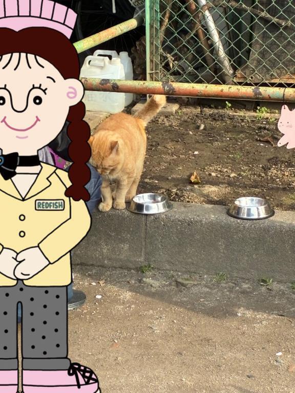 いつぞやの｜写メ日記｜浅宮ゆり｜鶯谷 人妻デリヘル 熟女デリヘル倶楽部