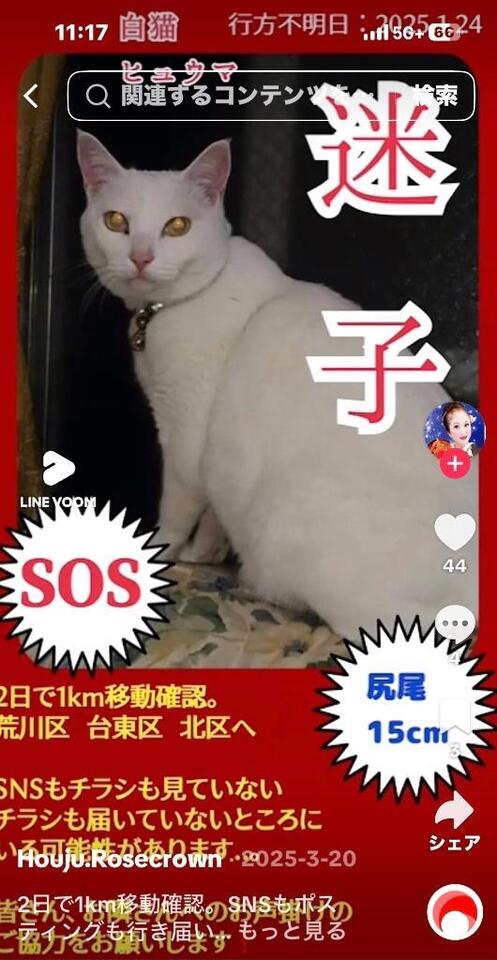 鶯谷迷い猫⸒⸒⸒⸒｜写メ日記｜浅宮ゆり｜鶯谷 人妻デリヘル 熟女デリヘル倶楽部
