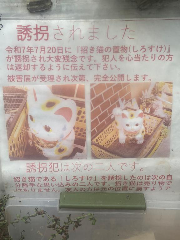 招き猫ちゃん誘拐｜写メ日記｜浅宮ゆり｜鶯谷 人妻デリヘル 熟女デリヘル倶楽部